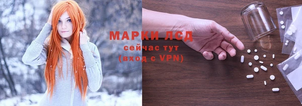 прущие грибы Алзамай