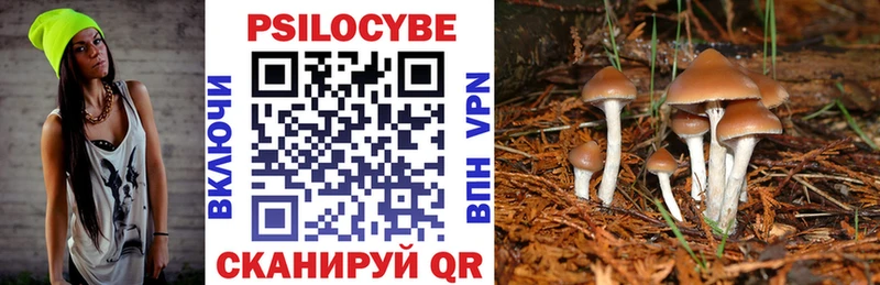 Галлюциногенные грибы Psilocybe Апатиты